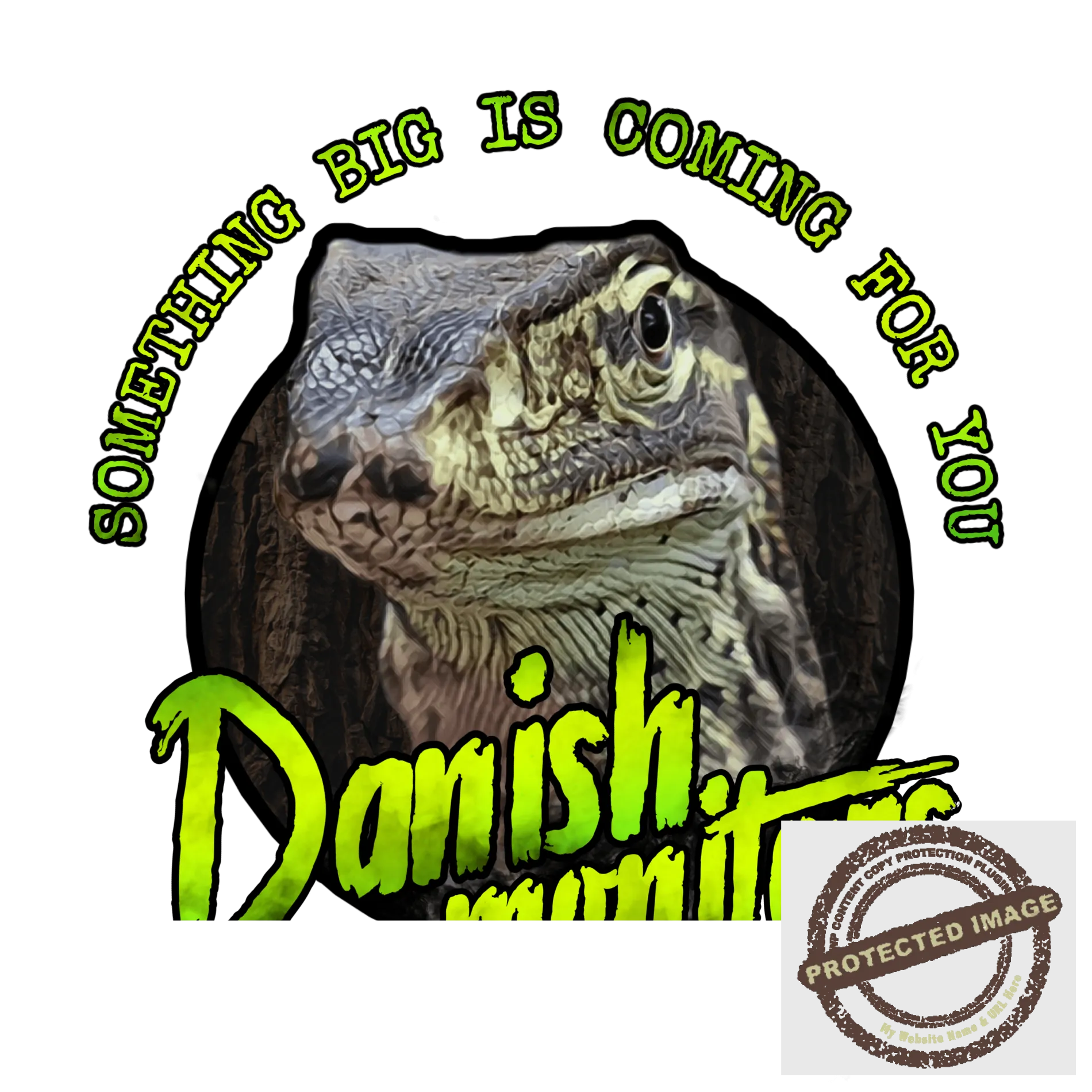 Danish Monitors